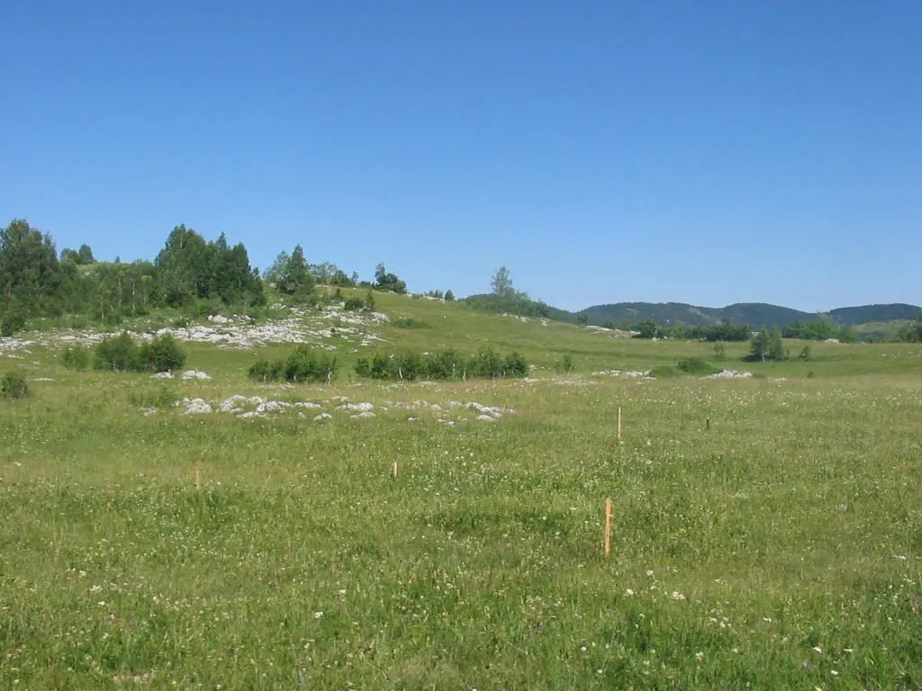 Prodaja, plac, 4696m², Žabljak, Crna Gora