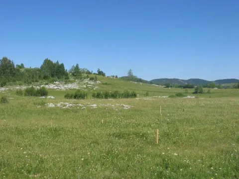 Prodaja, plac, 4696m², Žabljak, Crna Gora - image 7