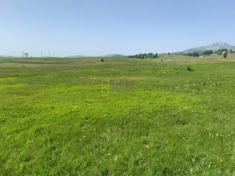 Sale, land lot, 34m², Pašina Voda, Žabljak