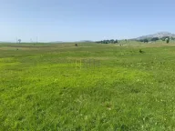 Sale, land lot, 34m², Pašina Voda, Žabljak - image 1
