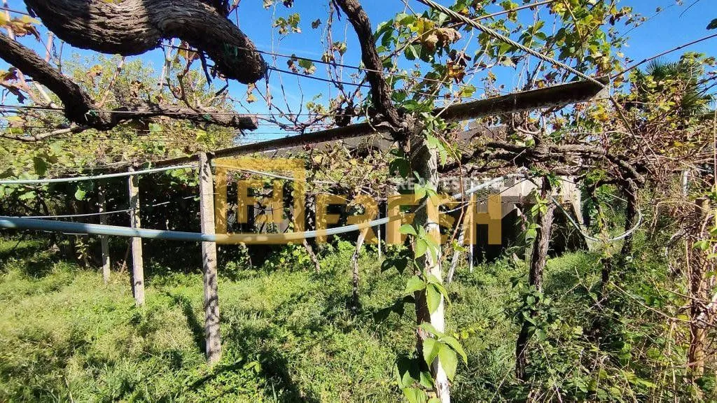 Prodaja, plac, 1300m², Farmaci, Podgorica