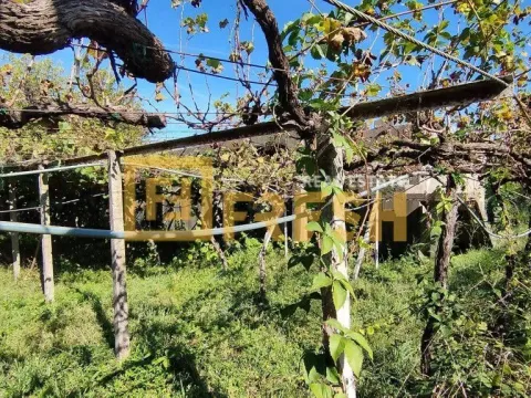 Sale, land lot, 1300m², Farmaci, Podgorica - image 5