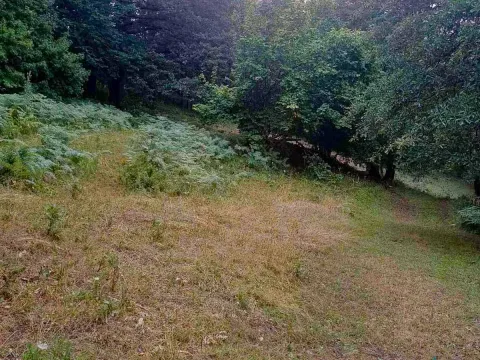 Sale, land lot, 15000m², Pljevlja, Crna Gora - image 4