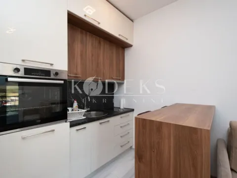 Izdavanje, garsonjera, 23m², Stari Aerodrom, Podgorica - image 7