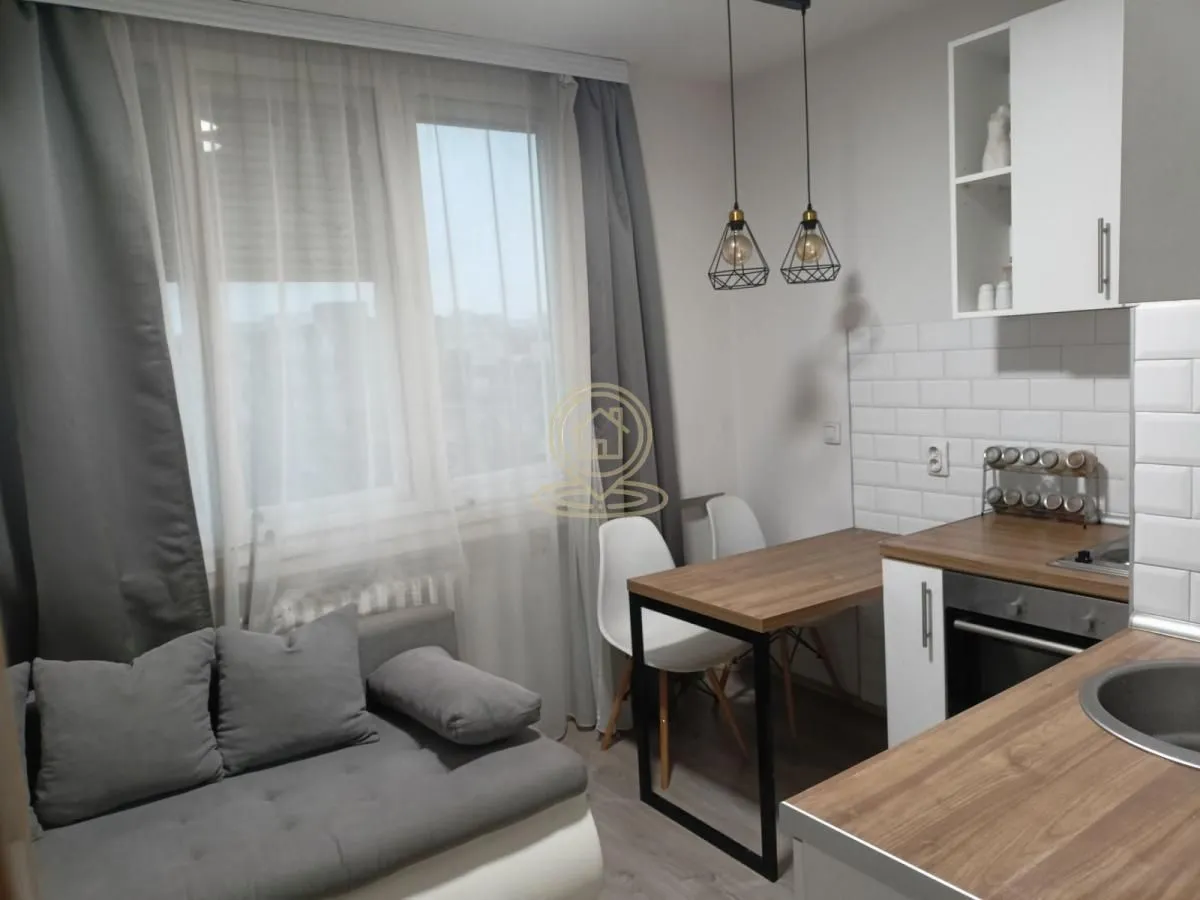 Izdavanje, jednosoban stan, 30m², Banatić, Novi Sad Sve Podlokacije