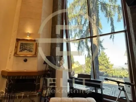 Prodaja, kuća, 318m², Petrovaradin, Novi Sad - image 3