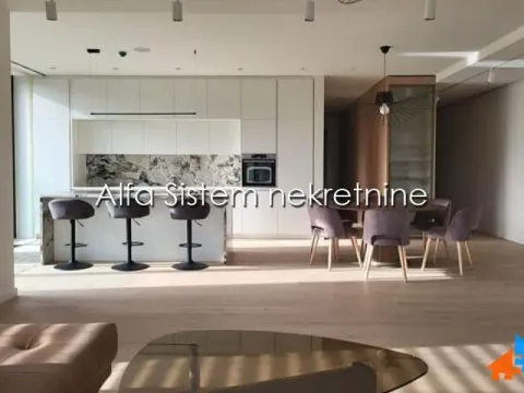 Izdavanje, četvorosoban stan, 213m², Savski Venac, Beograd - image 4