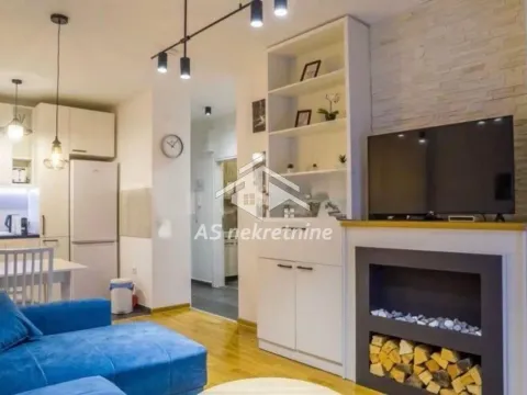 Izdavanje, dvosoban stan, 43m², Južni Bulevar, Vračar Sve Podlokacije - image 3