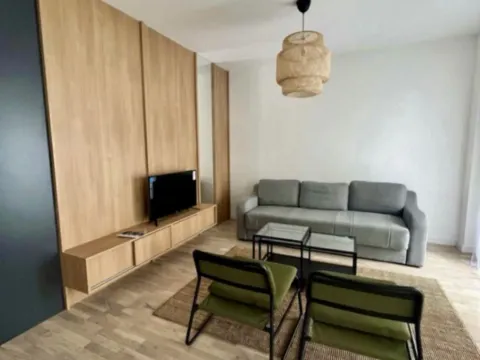 Izdavanje, jednosoban stan, 48m², Centar, Podgorica - image 9