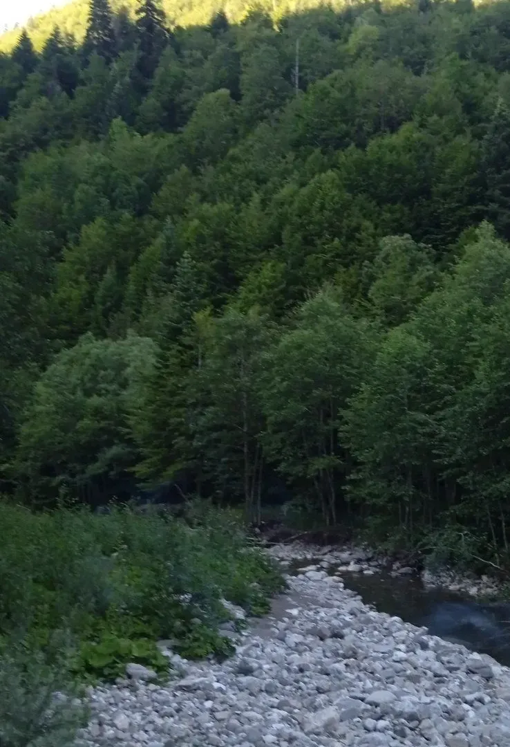 Prodaja, plac, 150000m², Podgorica, Crna Gora