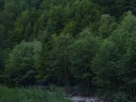 Prodaja, plac, 150000m², Podgorica, Crna Gora - image 6