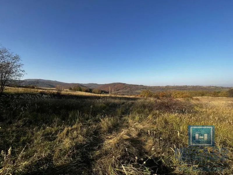 Prodaja, kuća, 20m², Lozovik, Jagodina