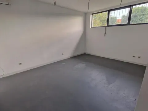 Izdavanje, poslovni prostor, 52m², Zemun Kalvarija, Zemun Sve Podlokacije - image 6