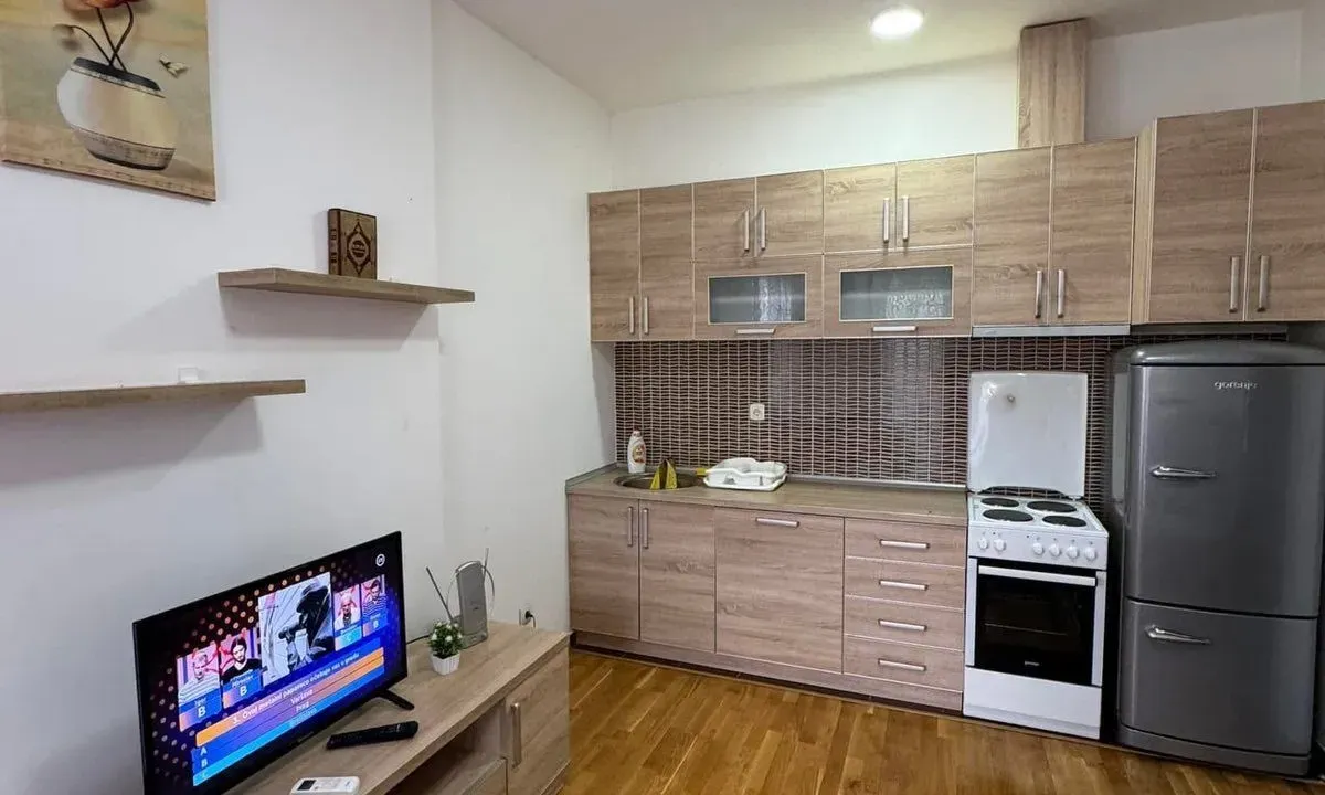 Rent, one bedroom apartment, 55m², Vezirov Most, Podgorica