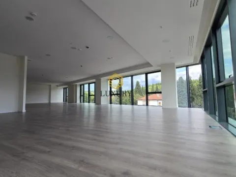 Rent, office space, 2542m², Centar, Podgorica - image 9