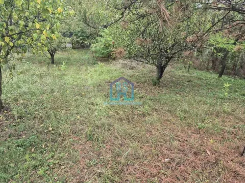 Prodaja, plac, 1200m², Alibegovac, Petrovaradin - image 7