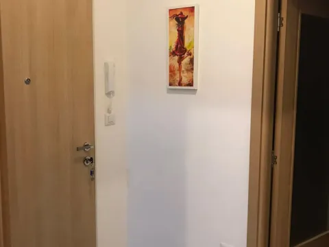 Rent, two bedroom apartment, 66m², Stari Aerodrom, Podgorica - image 7