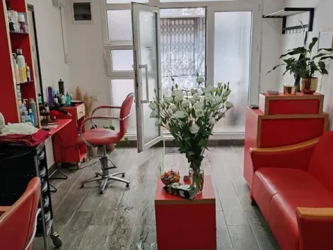 Prodaja, poslovni prostor, 23m², Profesorska Kolonija, Palilula Sve Podlokacije - image 3