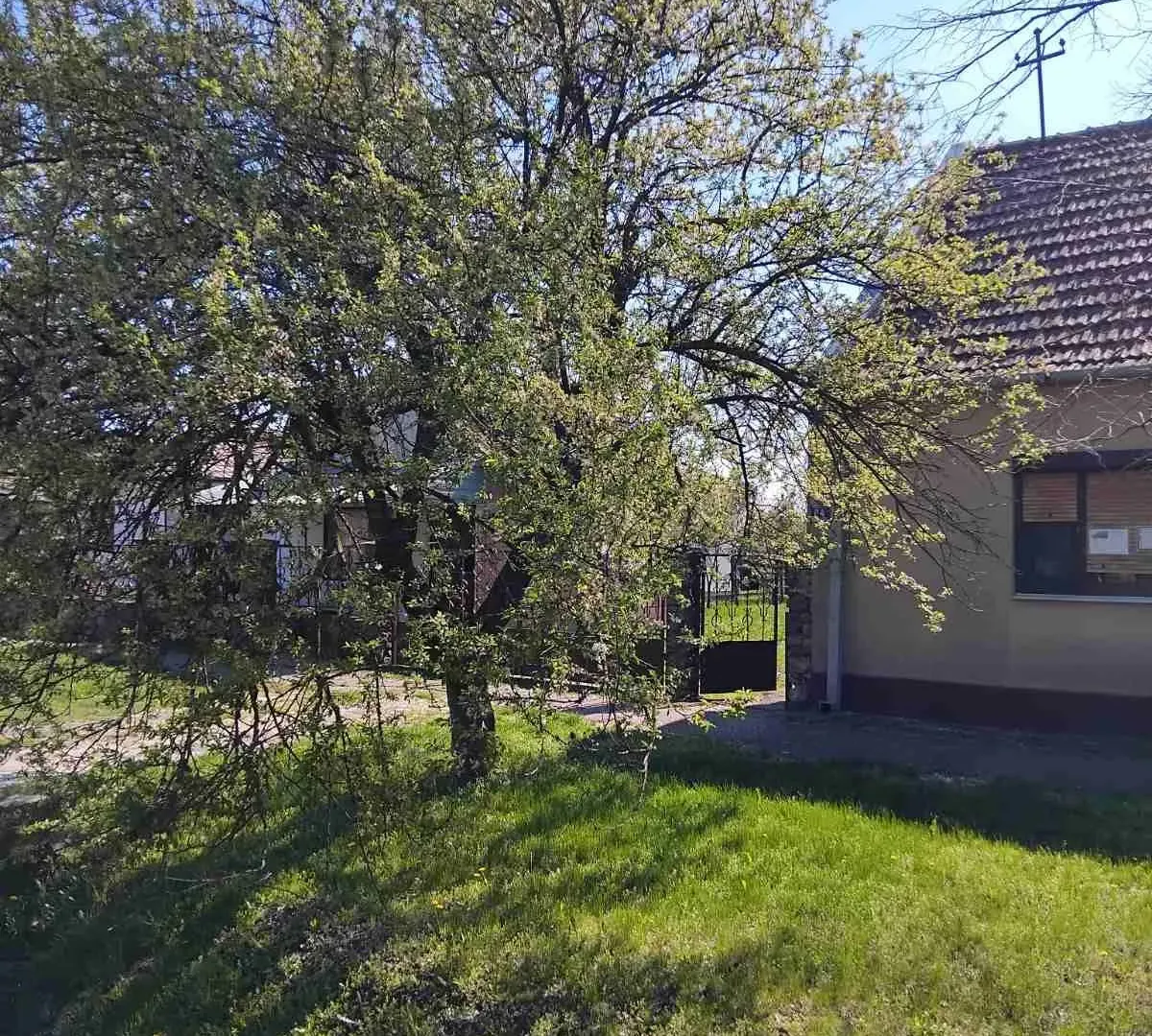 Prodaja, kuća, 80m², Žitište, Zrenjanin