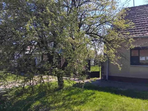 Prodaja, kuća, 80m², Žitište, Zrenjanin - image 3