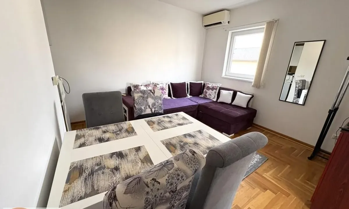 Izdavanje, dvosoban stan, 50m², Vojvode Vlahovica, Beograd