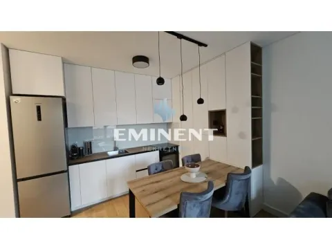 Izdavanje, dvosoban stan, 47m², Vračar Sve Podlokacije, Beograd - image 2