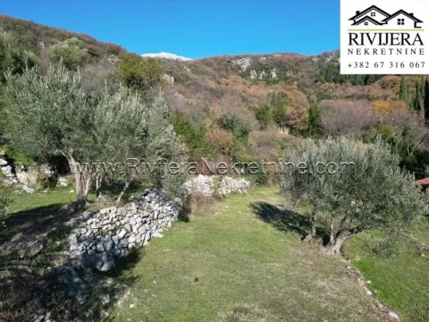 Prodaja, plac, 2430m², Trebesinj, Herceg Novi - image 3