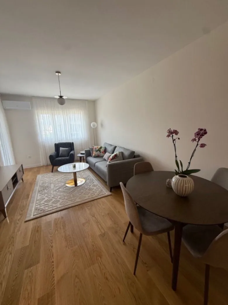 Izdavanje, jednosoban stan, 49m², Central Point, Podgorica