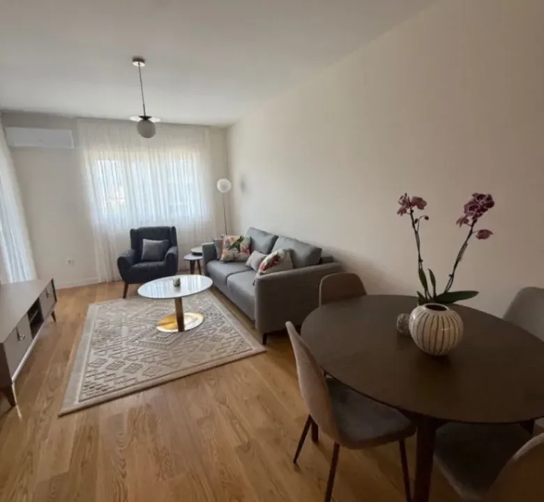 Izdavanje, jednosoban stan, 49m², Central Point, Podgorica