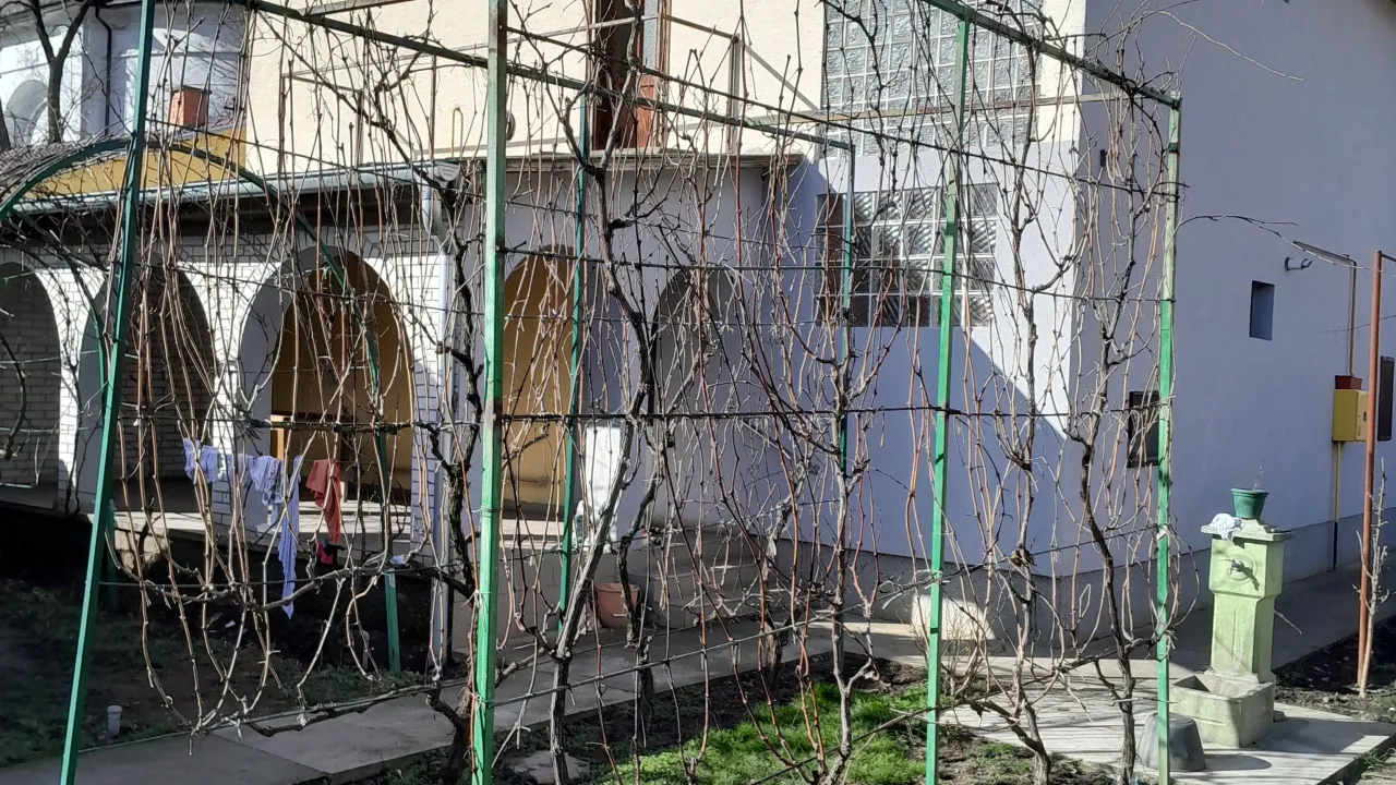 Sale, house, 200m², Bački Petrovac, Novi Sad