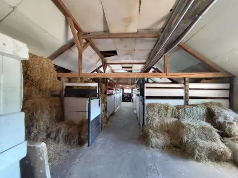 Prodaja, kuća, 450m², Makova Sedmica, Subotica - image 23