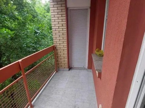 Sale, two bedroom apartment, 54m², Nova Detelinara, Novi Sad Sve Podlokacije - image 12