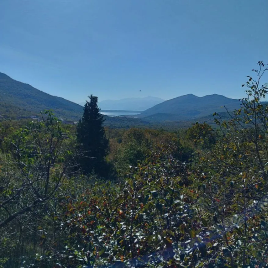 Prodaja, plac, 5000m², Podgorica, Crna Gora