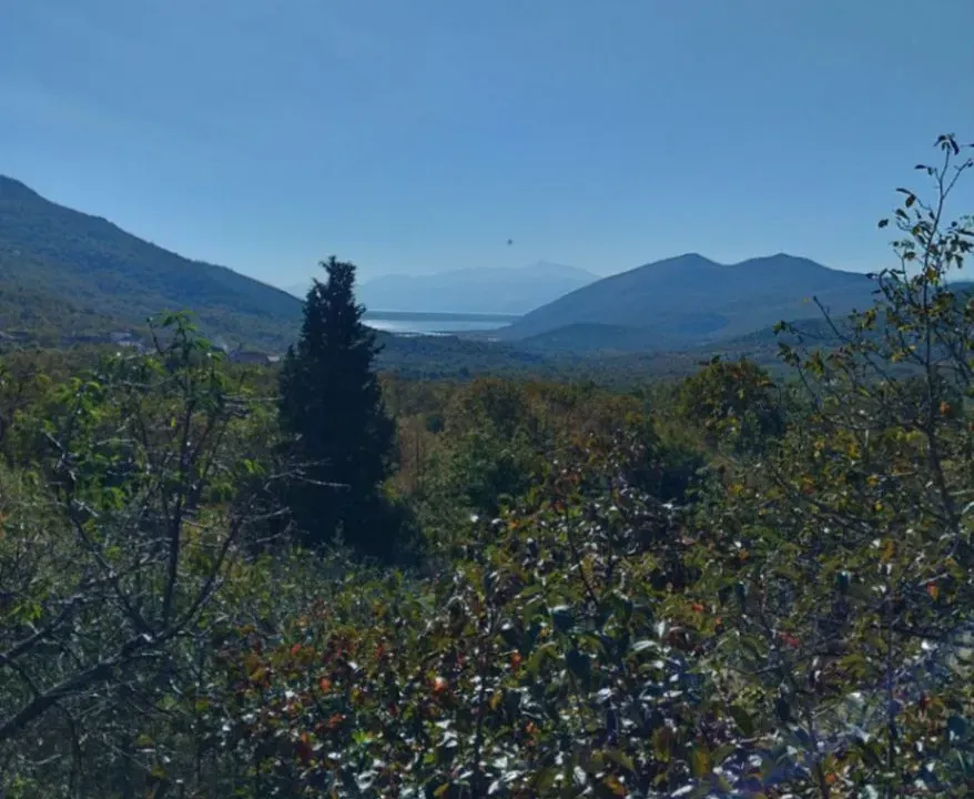 Prodaja, plac, 5000m², Podgorica, Crna Gora