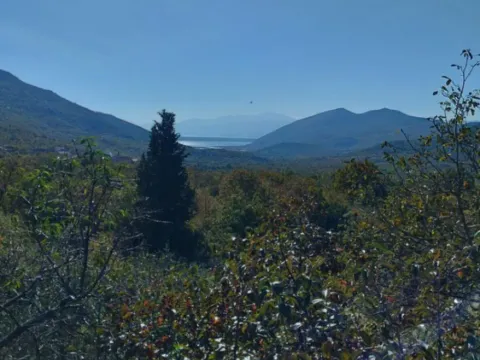 Prodaja, plac, 5000m², Podgorica, Crna Gora - image 1