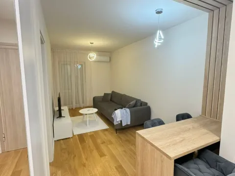 Izdavanje, stan, 39m², Central Point, Podgorica - image 2