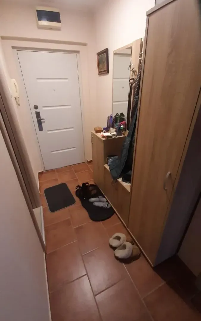 Prodaja, dvosoban stan, 50m², Bulevar Oslobodjenja, Novi Sad Sve Podlokacije