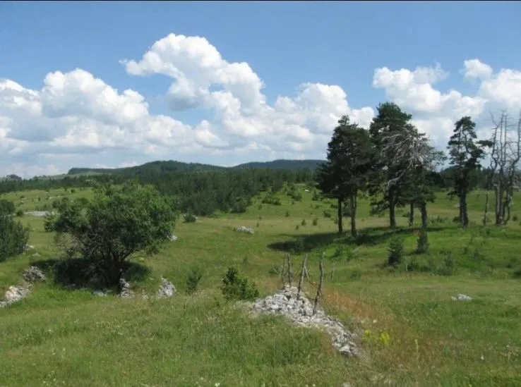 Prodaja, plac, 14677m², Žabljak, Crna Gora