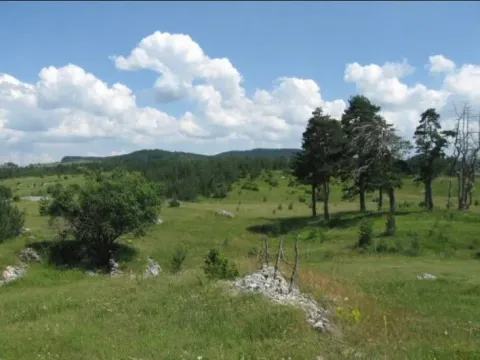 Prodaja, plac, 14677m², Žabljak, Crna Gora - image 2