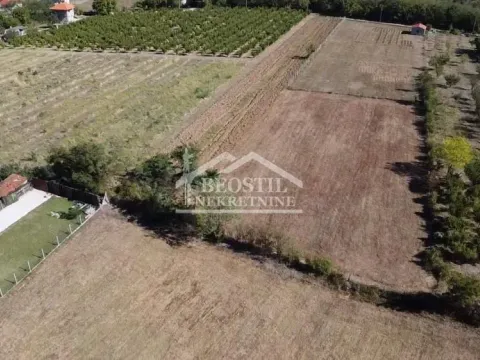 Sale, land lot, 2000m², Zlatno Brdo, Smederevo - image 5