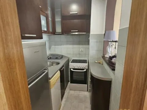 Izdavanje, jednosoban stan, 40m², Stari Grad, Beograd - image 3
