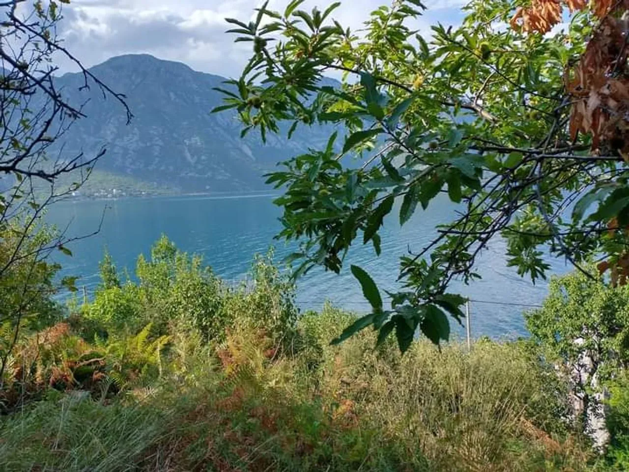 Prodaja, plac, 12433m², Koštanjica, Bar