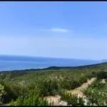 Prodaja, plac, 437m², Zagora, Kotor - image 3