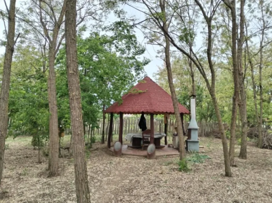 Prodaja, plac, 5400m², Veliki Radanovac, Subotica