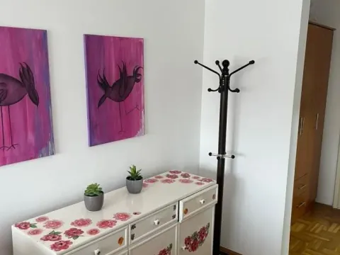 Izdavanje, garsonjera, 26m², Grbavica, Novi Sad Sve Podlokacije - image 3