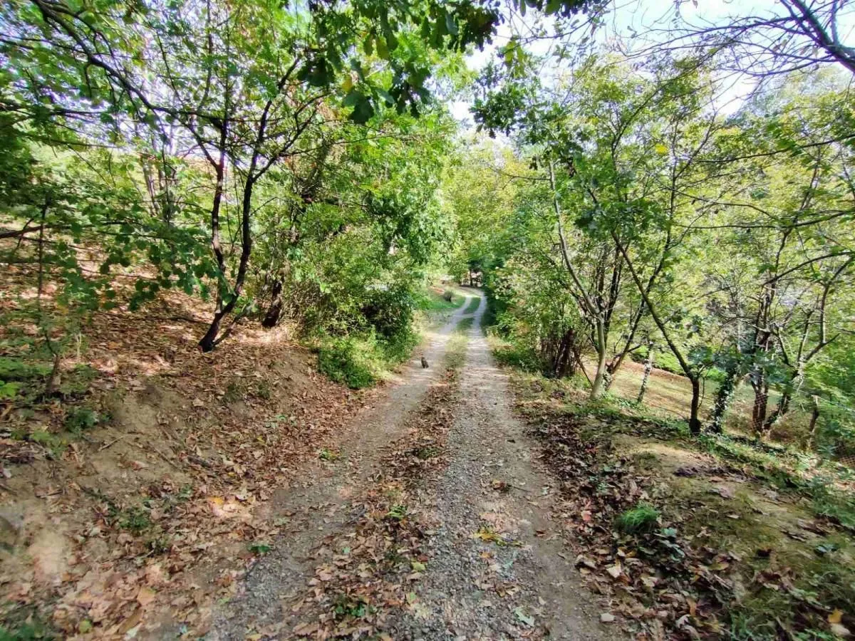 Prodaja, plac, 1100m², Irig, Srbija