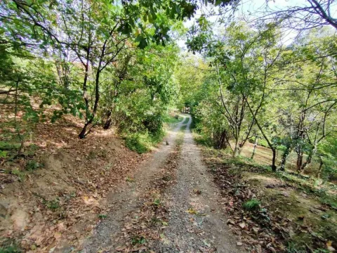 Sale, land lot, 1100m², Irig, Srbija - image 2