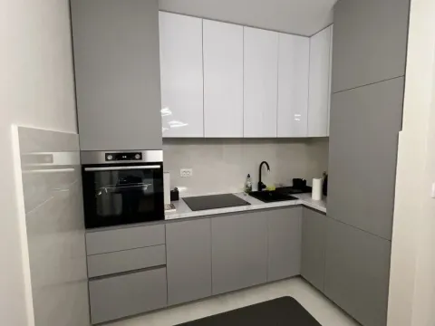 Izdavanje, jednosoban stan, 50m², Central Point, Podgorica - image 4