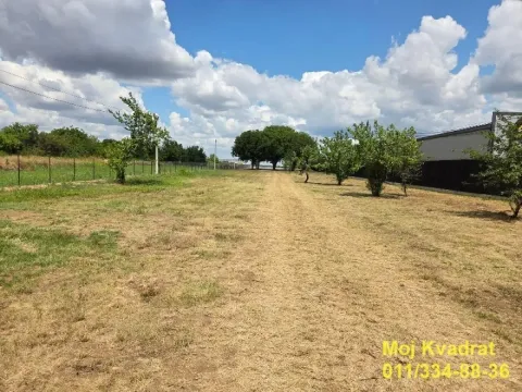 Izdavanje, plac, 2500m², Surčin, Beograd - image 5