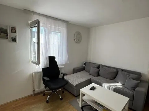 Prodaja, kuća, 200m², Mali Mokri Lug, Zvezdara Sve Podlokacije - image 3